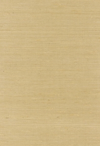 Hosha Grasscloth Tan
