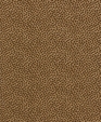 62920_medium_cropped