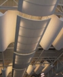 1_jpg1_medium_cropped