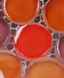 Crystal-glass-mosaic-tile-per0001-1_medium_cropped