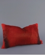 Redspring_800_medium_cropped