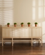 Anders-buffet_medium_cropped