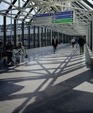 Linod-img1_medium_cropped