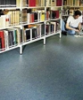 Linor-img_medium_cropped
