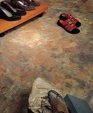St-img_medium_cropped
