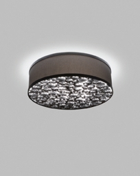 10218 Catacaos Ceiling