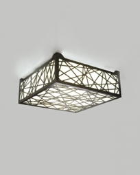 10256 Twilight Ceiling