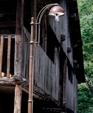 Sarson-6630_medium_cropped