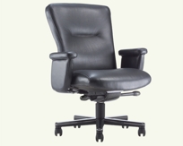 1810-110 Ora Mid Back