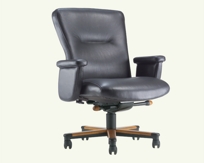 1910-100 Ora Mid Back