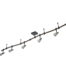 12491_medium_cropped