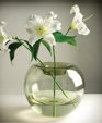 Stamenvase-s7_medium_cropped