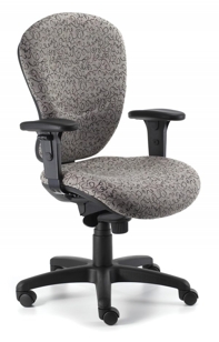 axxess - low-back - 17310