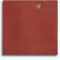 All Grain - Burnt Orange