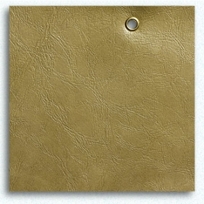Bookbinding - Asparagus