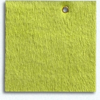 Cavallini - Chartreuse