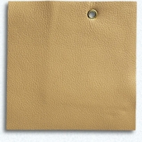 Free Range - Buckskin