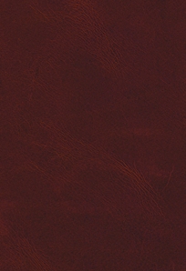 Africa Barolo