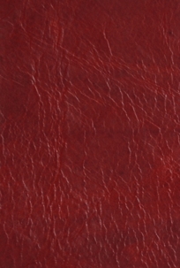 Africa Cherry