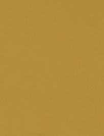 Aviation-Aeronautica Amber