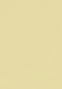 Aviation-Aeronautica Bisque