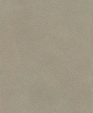 Dakar_argento0854_medium_cropped