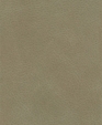 Dakar_salvia0691_medium_cropped