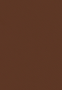 Ecolife Acorn