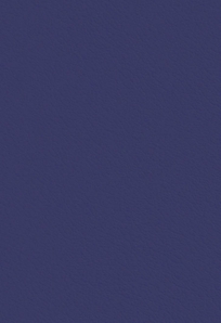 Ecolife Aubergine