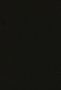 Ecolife Black