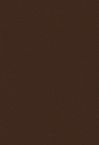 Ecolife Canyon