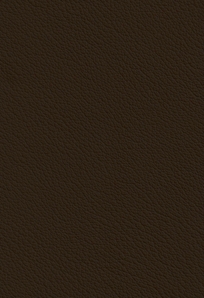 Ecolife Chocolate