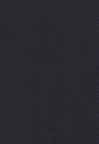 Ecolife Indigo