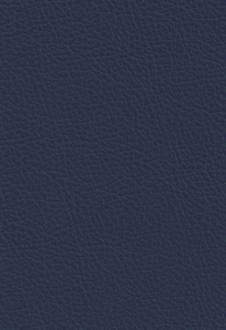 Sierra Ocean