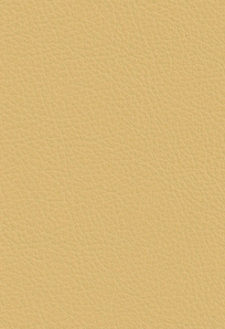 Sierra Vanilla