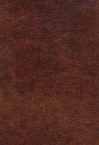 Windsor Chestnut