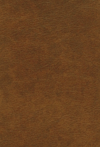 Windsor Oak
