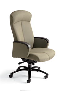 Posh Ergo Executive