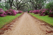 AFTON DRIVE