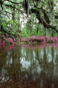 AFTON POND REFLECTIONS I