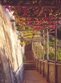ARBOR & WALKWAY