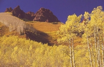ASPENS at BUCKSKIN PEAK I
