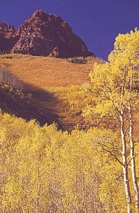 ASPENS at BUCKSKIN PEAK II