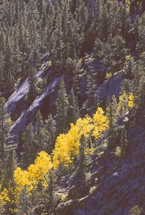 ASPENS I
