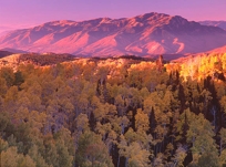 MAHOGANY HILL & ASPENS
