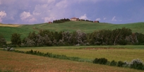 TUSCAN FARMSCAPE II