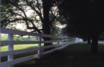 WHITE BOARD FENCE