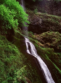 WINTER FALLS I