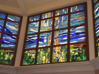 Wood Fixed Window