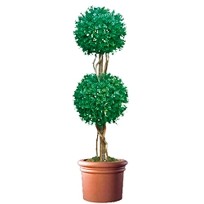 Outdoor Artificial Foliage - Boxwood, Cedar, Palms, Cypress Trees